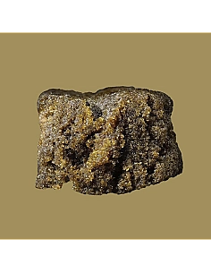 THE GREEN MUSE The Muse...