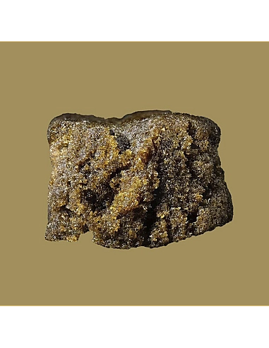 THE GREEN MUSE The Muse d’Or – HASH...