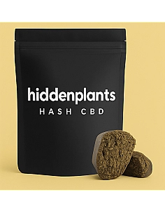HIDDENPLANTS HASH MANGO...