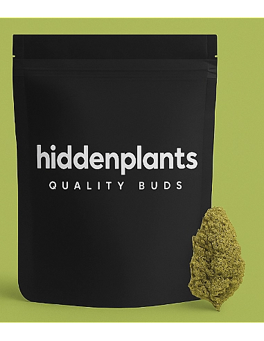 HIDDENPLANTS 5% CBD PINEAPPLE -...
