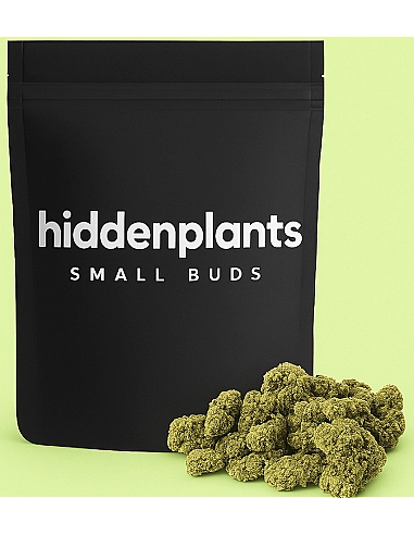 HIDDENPLANTS SMALL BUDS 11% CBD KISS...