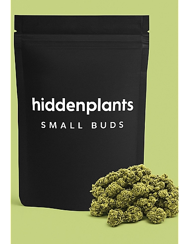 HIDDENPLANTS  SMALL BUDS CBD GELATO -...
