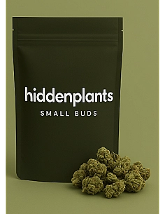 HIDDENPLANTS SMALL BUDS 11%...