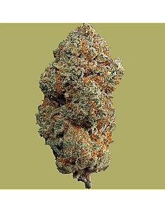 THE GREEN MUSE Gorilla Glue...