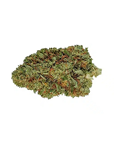 De Pata Verde Small Bud Carmagnola CBD