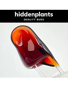 HIDDENPLANTS Rosin CBD...