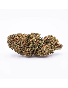 The Tree CBD  Candy Fumez