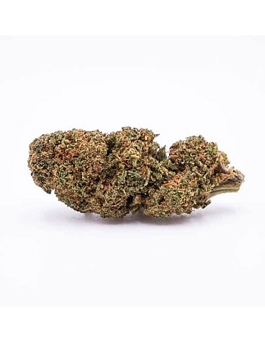 The Tree CBD  Candy Fumez