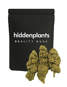 HIDDENPLANTS  16% CBD...