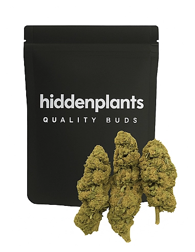 HIDDENPLANTS  16% CBD HIDROPÓNICA...