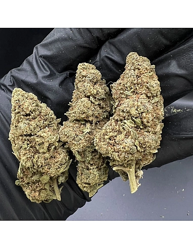 THE GREEN MUSE Super Lemon Haze 8% CBD