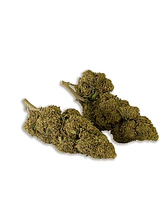Chaman  CBD CHAMÁN BERRY...