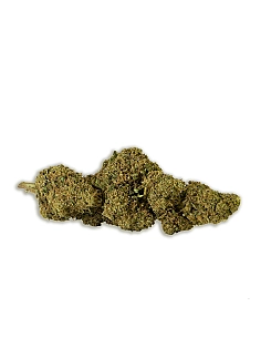 Chaman CBD AMNESIA HAZE 30%