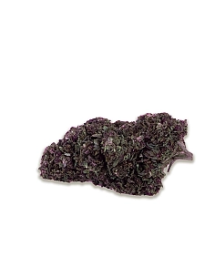 Chaman CBD PURPLE JUNGLE 32%