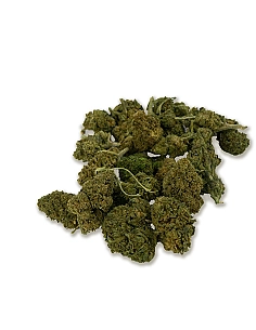 Chaman Mini buds CBD CHAMÁN...