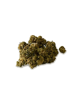 Chaman Mini buds CBD...