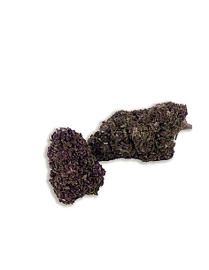 Chaman Mini buds CBD PURPLE...