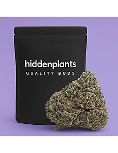 HIDDENPLANTS  12% CBD...