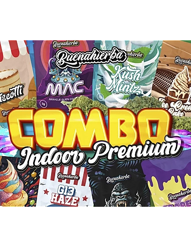 Buenahierba Combo  CBD Indoor Premium...