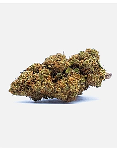 The Tree CBD Kritical Bilbo
