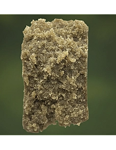THE GREEN MUSE HASH Punch...