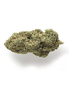 De Pata Verde White Widow...