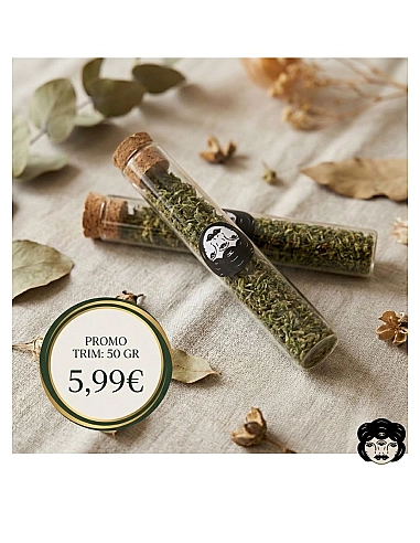 THE GREEN MUSE TRIM CBD Primera Calidad