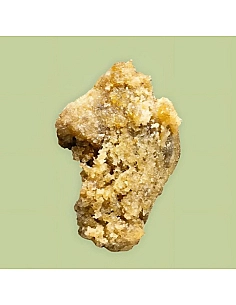 THE GREEN MUSE HASH...