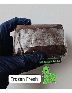 MYSTICMUSE99% Fresh Frozen|...
