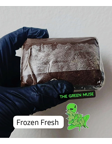 MYSTICMUSE99% Fresh Frozen| Hash de...