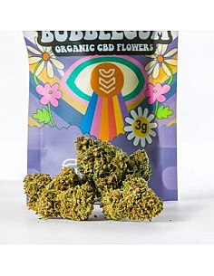 Canem  Flor PURPLE MANGO...