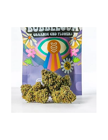 Canem  Flor PURPLE MANGO BUBBLEGUM