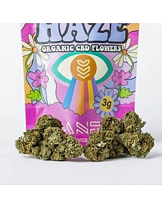 Canem  Flor TRAMUNTANA HAZE
