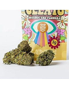 Canem  Flor ENSAIMADA GELATO