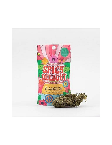 Canem  Flor SPICY DELIGHT