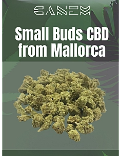 Canem  SMALL BUDS