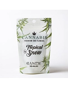 Canem  Flor TROPICAL SNOW CBG