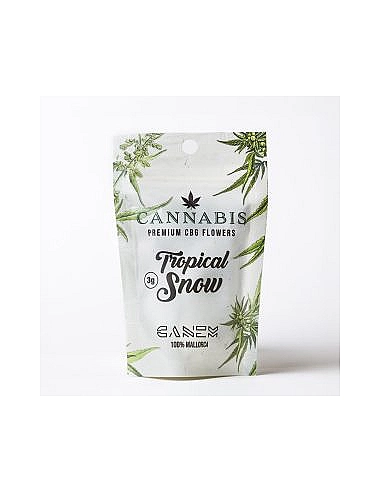 Canem  Flor TROPICAL SNOW CBG