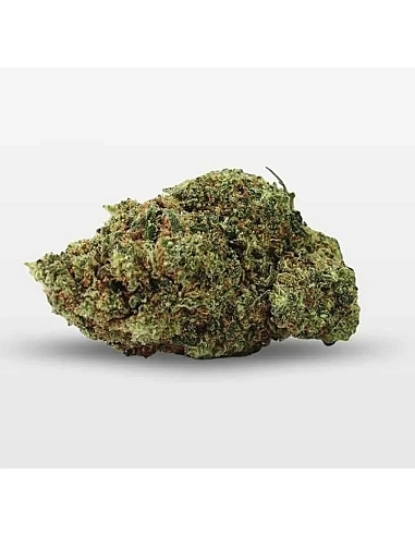 ARKANO FLOR DURBAN POISON PREMIUM 20%...