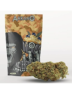 ARKANO FLOR BLUEBERRY...