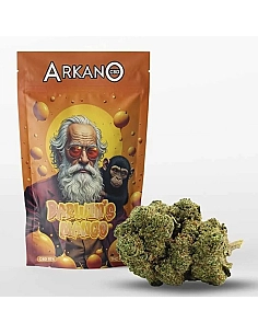 ARKANO FLOR DARWIN’S MANGO...