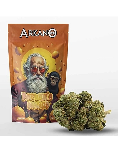 ARKANO FLOR DARWIN’S MANGO 10,2% CBD...