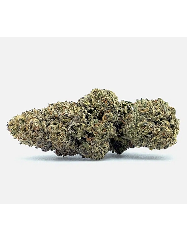 The Tree CBD Super Lemon Special...