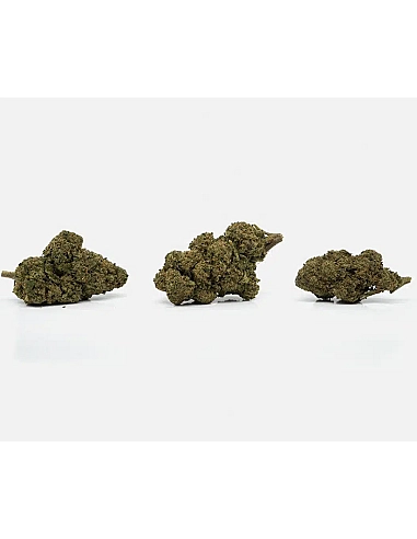 The Tree CBD Gaz Octane
