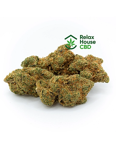 RELAXHOUSE 15% CBD Kritical Bilbo Indoor
