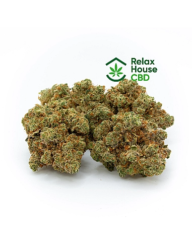 RELAXHOUSE 12.91% CBD BCN DIESEL Indoor