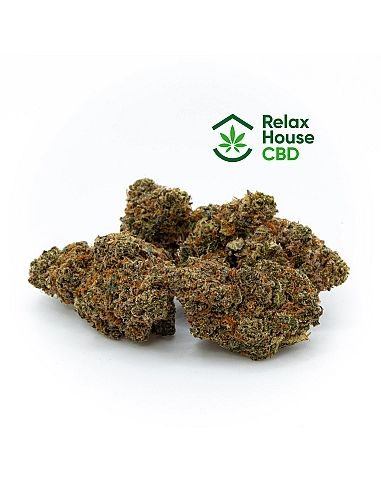 RELAXHOUSE 13,13% CBD Orange Sorbet...