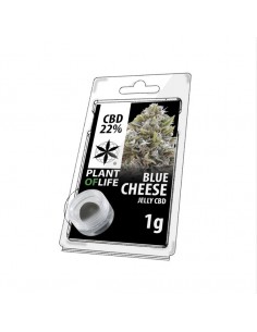 Plant of Life JELLY 22% CBD CHEESE BLUE 1G