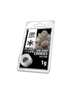 Plant of Life JELLY 22% CBD GIRL SCOUT COOKIES 1G