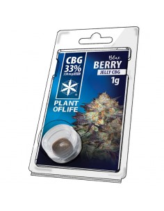 Plant of Life JELLY 33% CBG BLUEBERRY 1G
